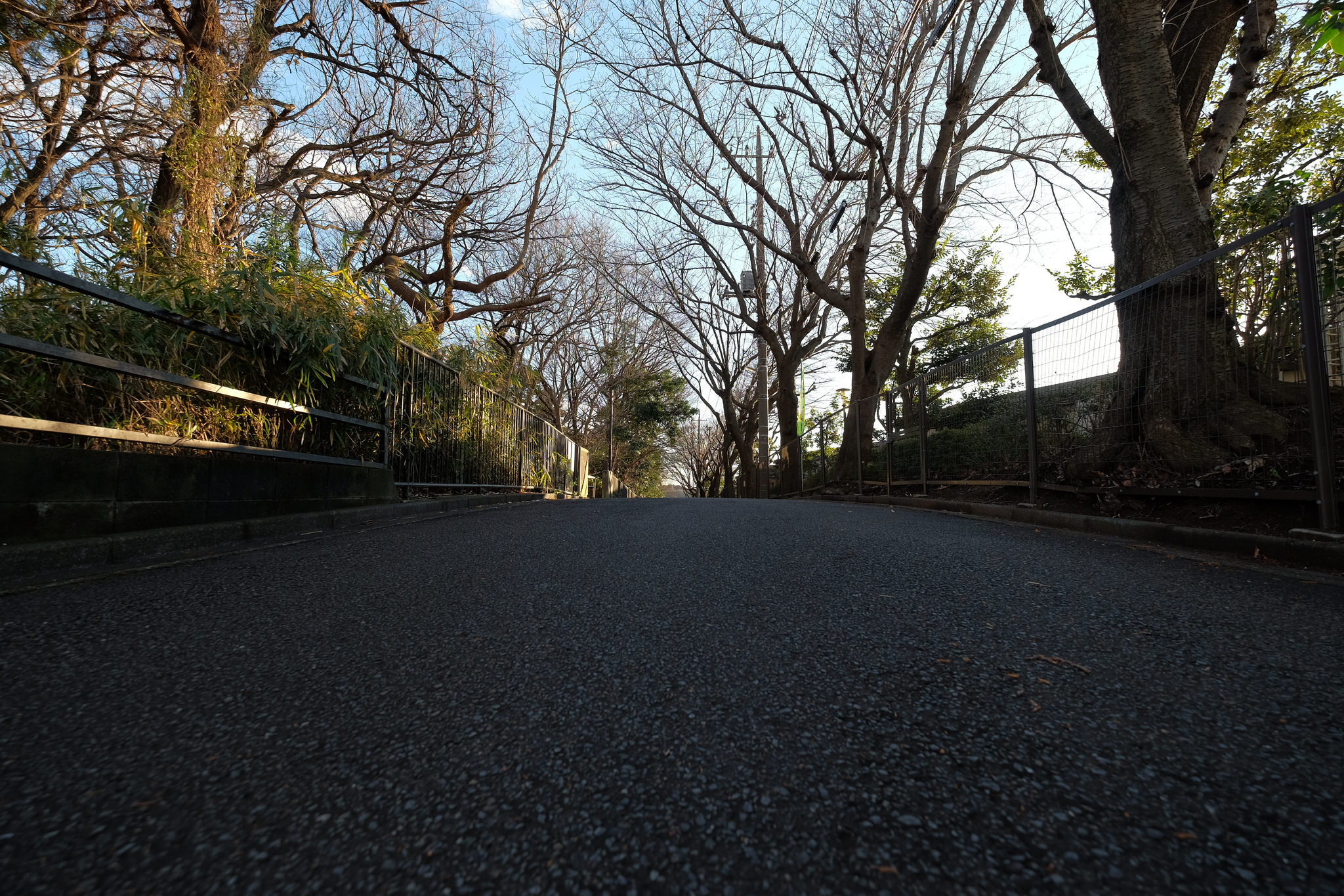 あなたの役割を見直して整理してみよう〜自分への回帰
